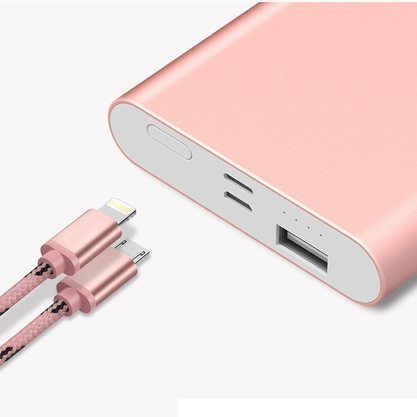 Портативное зарядное устройство (Powerbank) YOOBAO PL10