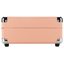 Виниловый проигрыватель Alive Audio Glam Blush BT