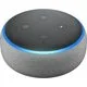 Amazon Echo Dot 3-е поколение (серый)