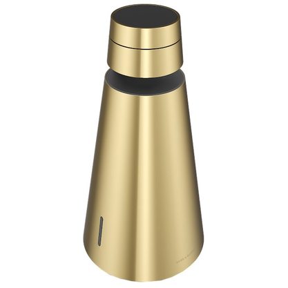 Стационарная колонка Bang & Olufsen Beosound 1 (латунь)