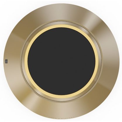 Стационарная колонка Bang & Olufsen Beosound 1 (латунь)