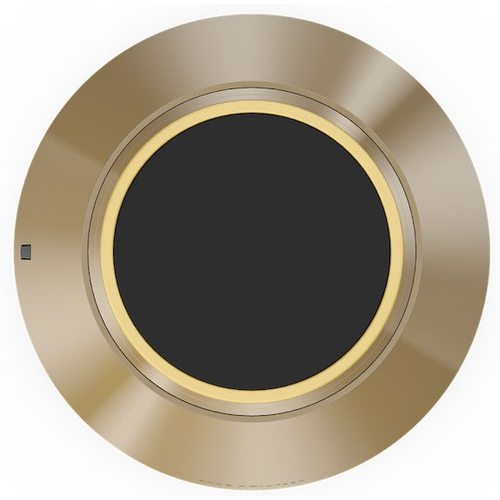 Стационарная колонка Bang & Olufsen Beosound 1 (латунь)
