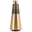 Беспроводная колонка Bang & Olufsen Beosound 2 3rd Gen (золотистый)
