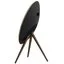 Стационарная колонка Bang & Olufsen Beoplay A9 2-е поколение (черный)
