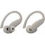 Беспроводные наушники Beats Powerbeats Pro 2 (серый)