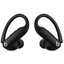 Беспроводные наушники Beats Powerbeats Pro 2 (черный)