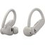 Беспроводные наушники Beats Powerbeats Pro 2 (серый)