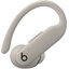 Беспроводные наушники Beats Powerbeats Pro 2 (серый)