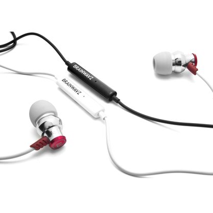 Наушники Brainwavz Delta (с микрофоном) (черный)