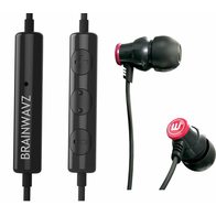 Brainwavz Delta (с микрофоном) (черный)