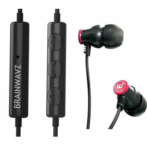 Наушники Brainwavz Delta (с микрофоном) (черный)