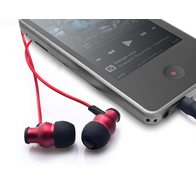 Brainwavz Delta (с микрофоном) (черный)