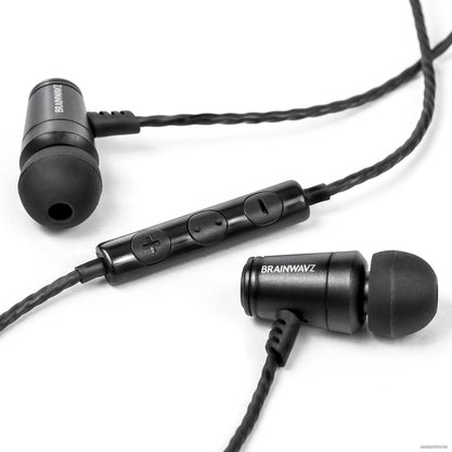 Наушники Brainwavz M100