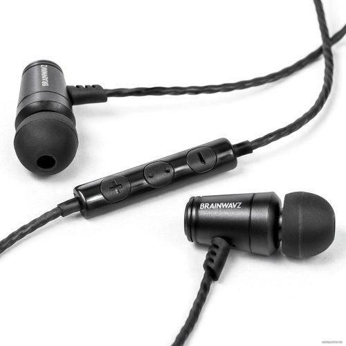 Наушники Brainwavz M100
