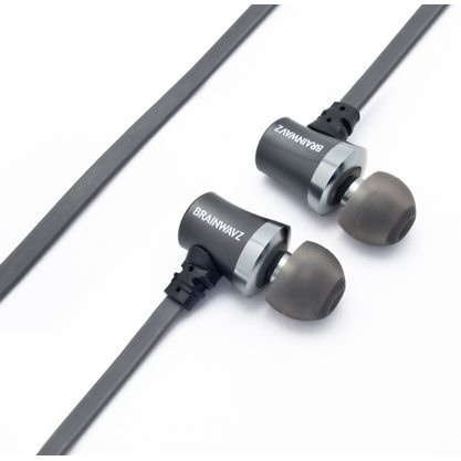 Наушники Brainwavz S1