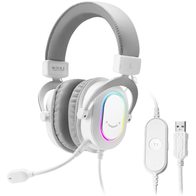 FIFINE H6 (белый-серый)