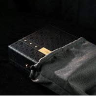 HIBY RS8 II (золотистый)