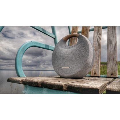 Портативная колонка Harman Kardon Onyx Studio 6 (серый)