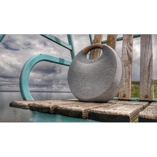 Портативная колонка Harman Kardon Onyx Studio 6 (серый)