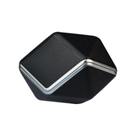 HIFIMAN svanar wireless