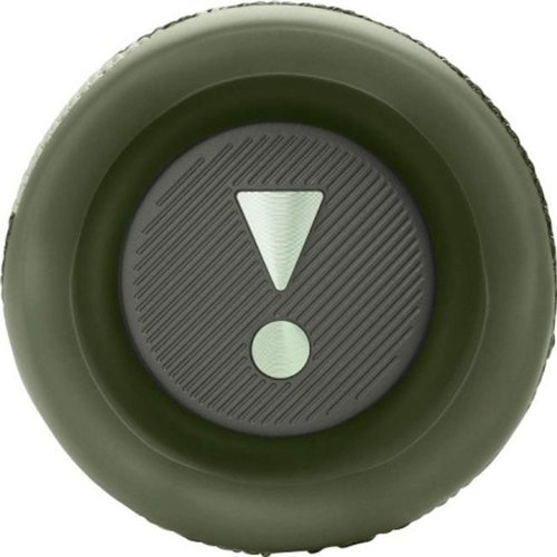 Портативная колонка JBL Flip 6 (камуфляж)