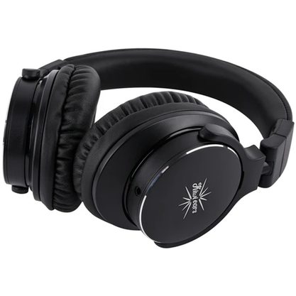 Наушники Kiwi Ears Division (черный)