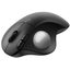 Мышка офисная  Logitech Ergo M575S (черный, серебристый шарик)