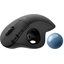 Мышка офисная Logitech Ergo M575 (черный)