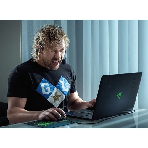 Игровые наушники Razer Ifrit + USB Audio Enhancer