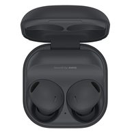 Samsung Galaxy Buds 2 Pro (черный)