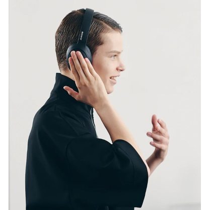 Беспроводные наушники Sony WH-H910N (черный)