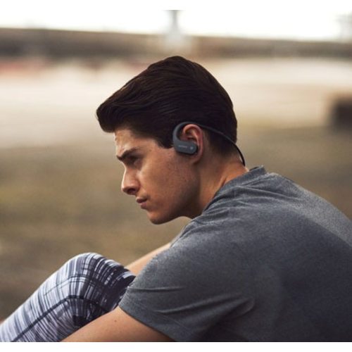 Плеер Sony NW-WS623 4GB BT (черный)