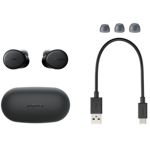 Беспроводные наушники Sony WF-XB700 (черный)