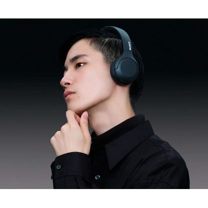 Беспроводные наушники Sony WH-H810N (черный)