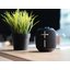 Портативная колонка Ultimate Ears Wonderboom 2 (черный)