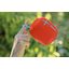 Портативная колонка Ultimate Ears Wonderboom (оранжевый)