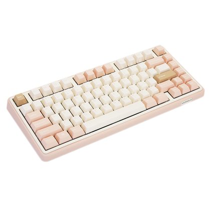 Игровая клавиатура Varmilo VXB81 G.Mendozae Varmilo EC V2 Daisy