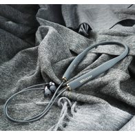 Whizzer W2-AM1E