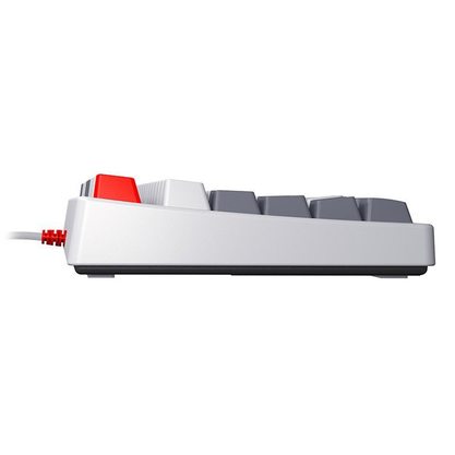 Игровая клавиатура Xtrfy K4 TKL RGB Retro