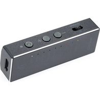 iFi Audio Go Bar