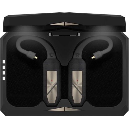 Беспроводные наушники iFi Audio GO Pod