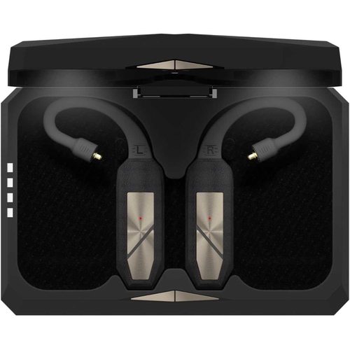 Беспроводные наушники iFi Audio GO Pod
