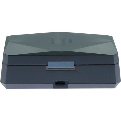 Беспроводные наушники iFi Audio GO Pod