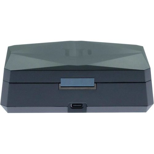 Беспроводные наушники iFi Audio GO Pod