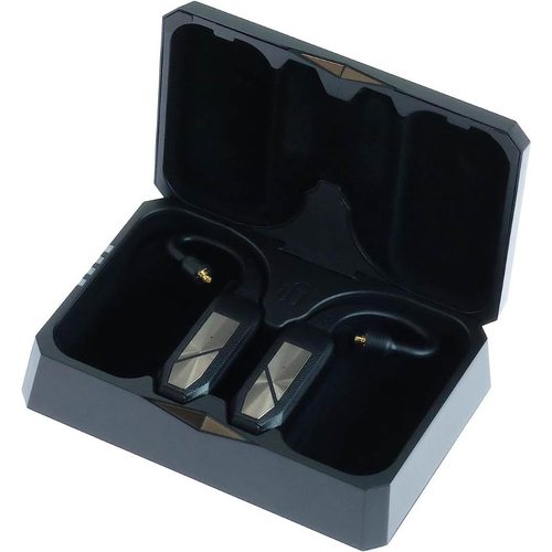 Беспроводные наушники iFi Audio GO Pod