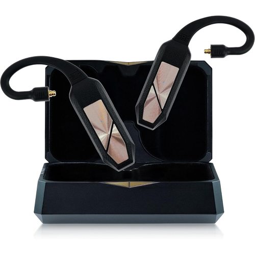 Беспроводные наушники iFi Audio GO Pod