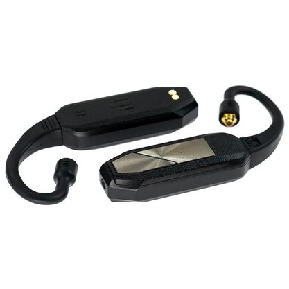 Беспроводные наушники iFi Audio GO Pod