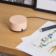 Яндекс Станция Лайт YNDX-00025 (капучино)