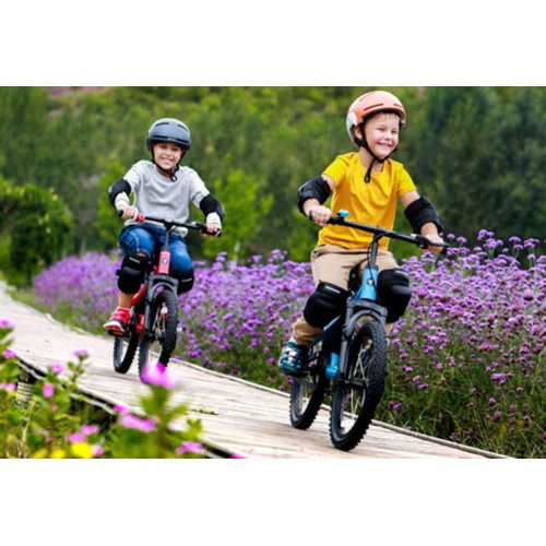 Велосипед Xiaomi Ninebot Kids Bike 14" (красный)