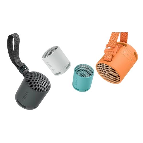 Беспроводная колонка Sony SRS-XB100 (черный)